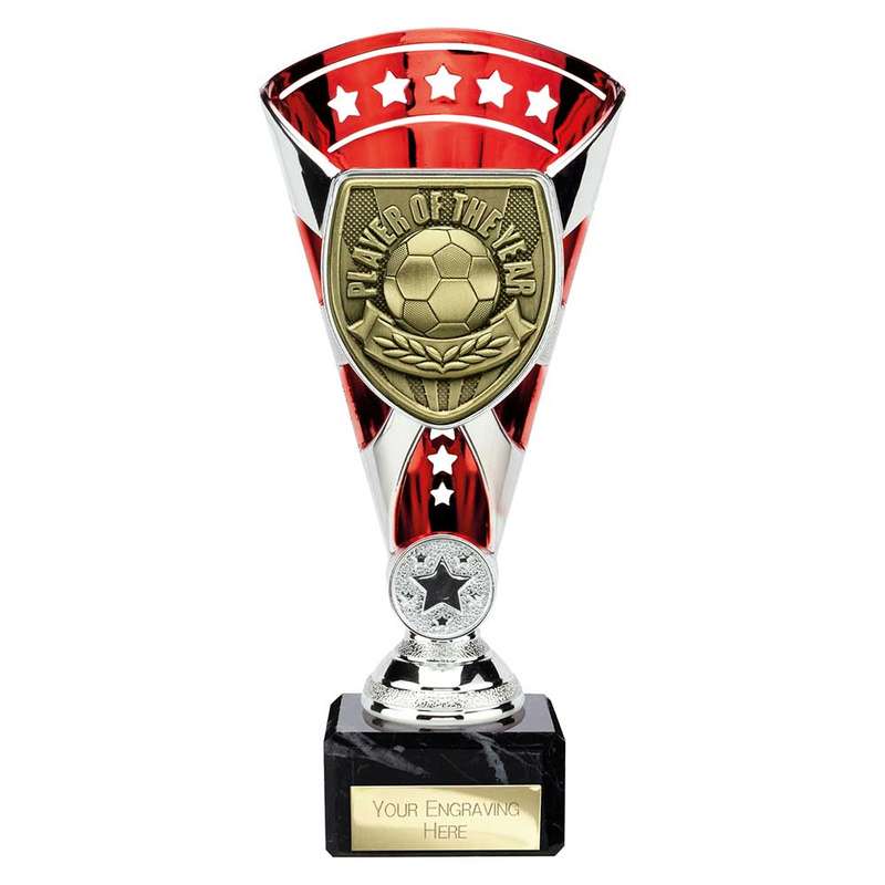 Cobra Star Cup Player of Year