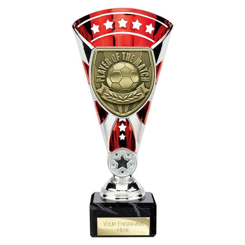 Cobra Star Cup Player of Match