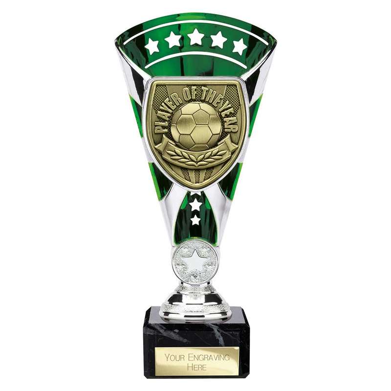 Cobra Star Cup Player of Year