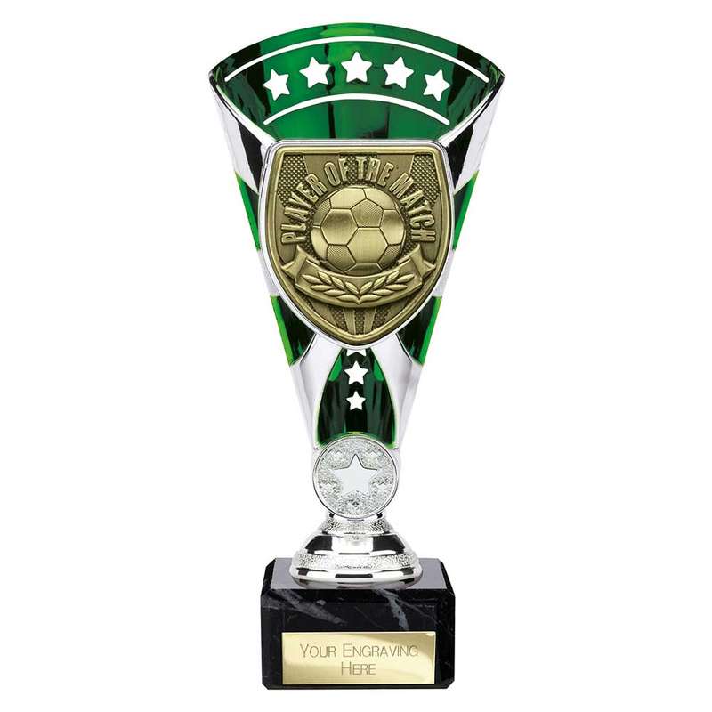 Cobra Star Cup Player of Match