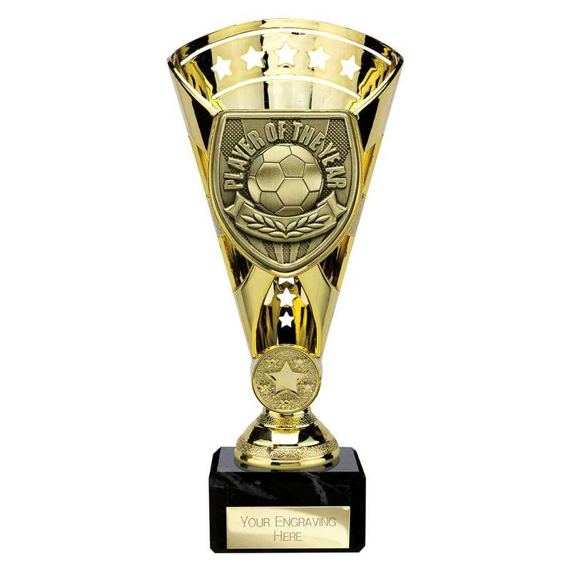Cobra Star Cup Player of Year