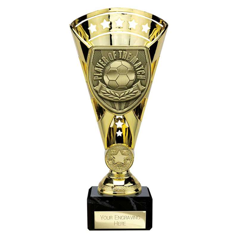 Cobra Star Cup Player of Match