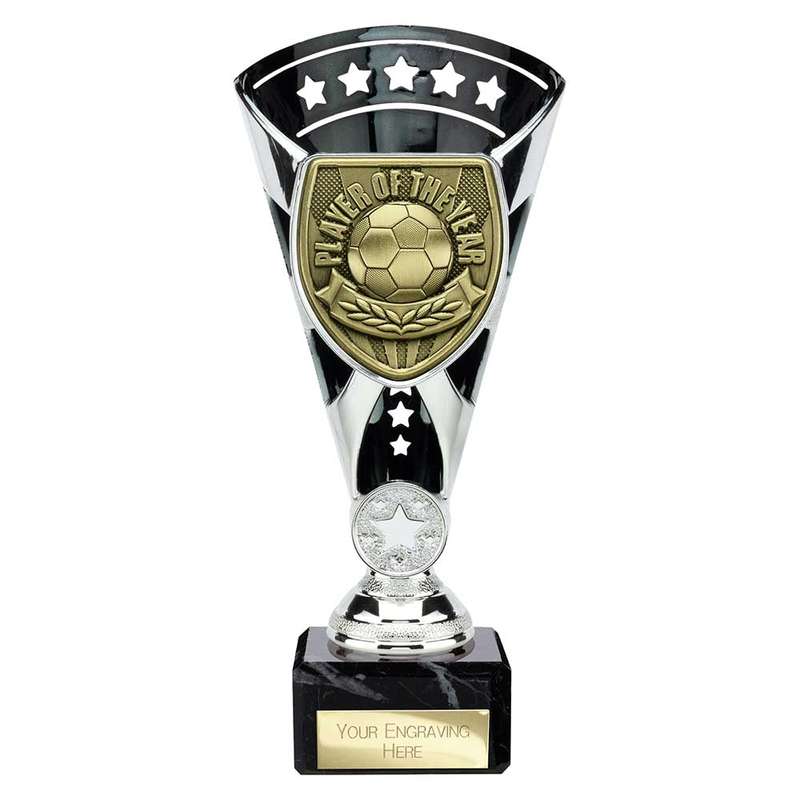 Cobra Star Cup Player of Year