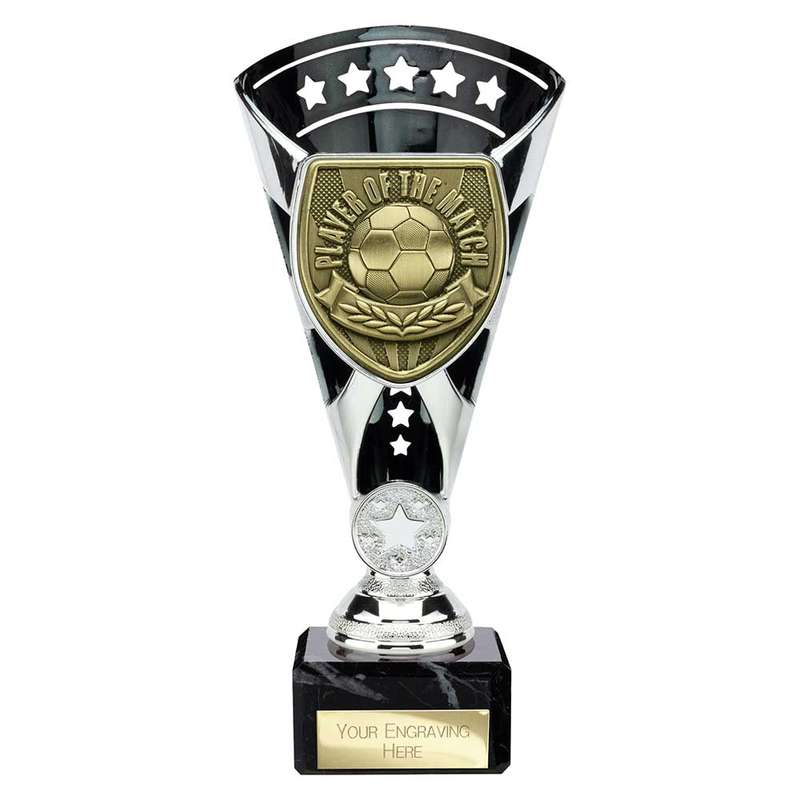 Cobra Star Cup Player of Match