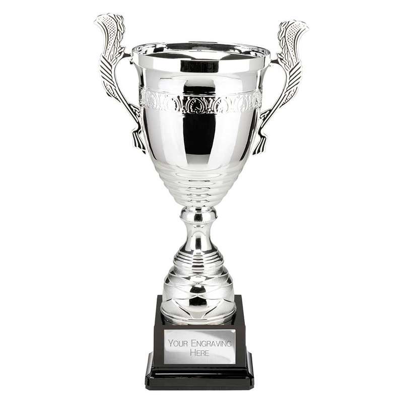 Endeavour Super Cup
