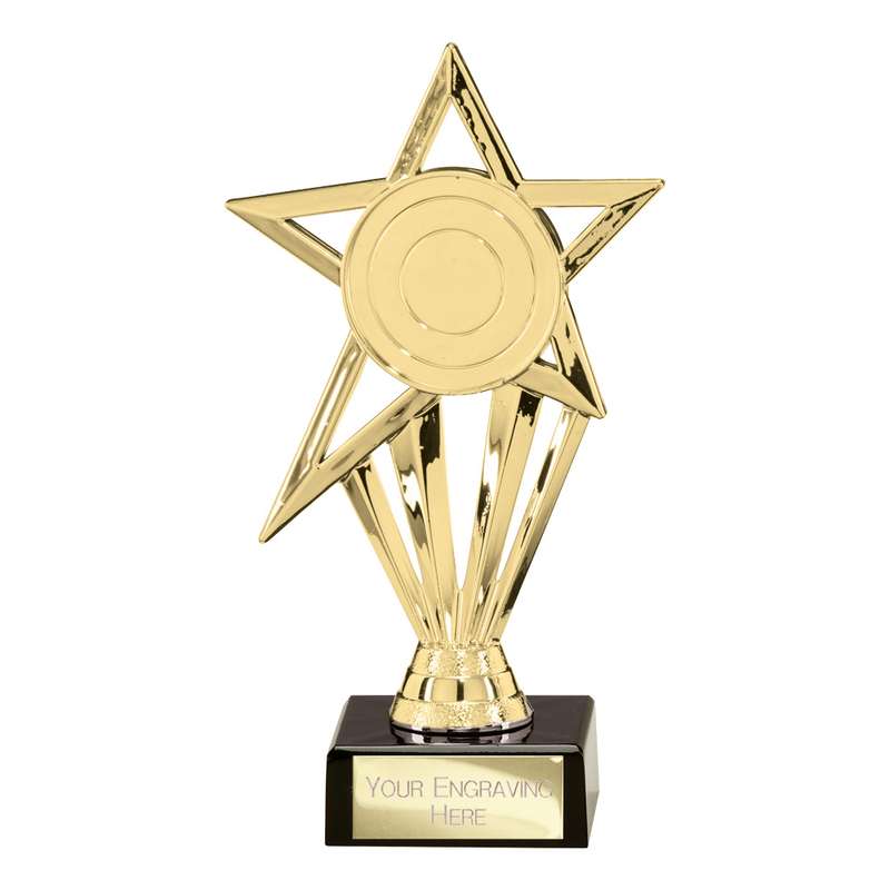 High Star Gold Award