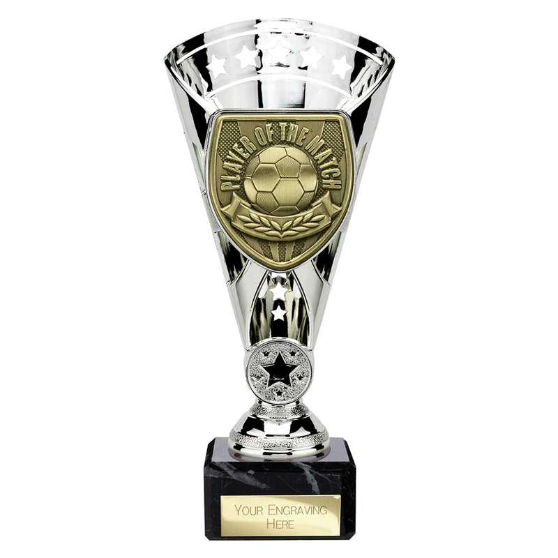 Cobra Star Cup Player of Match
