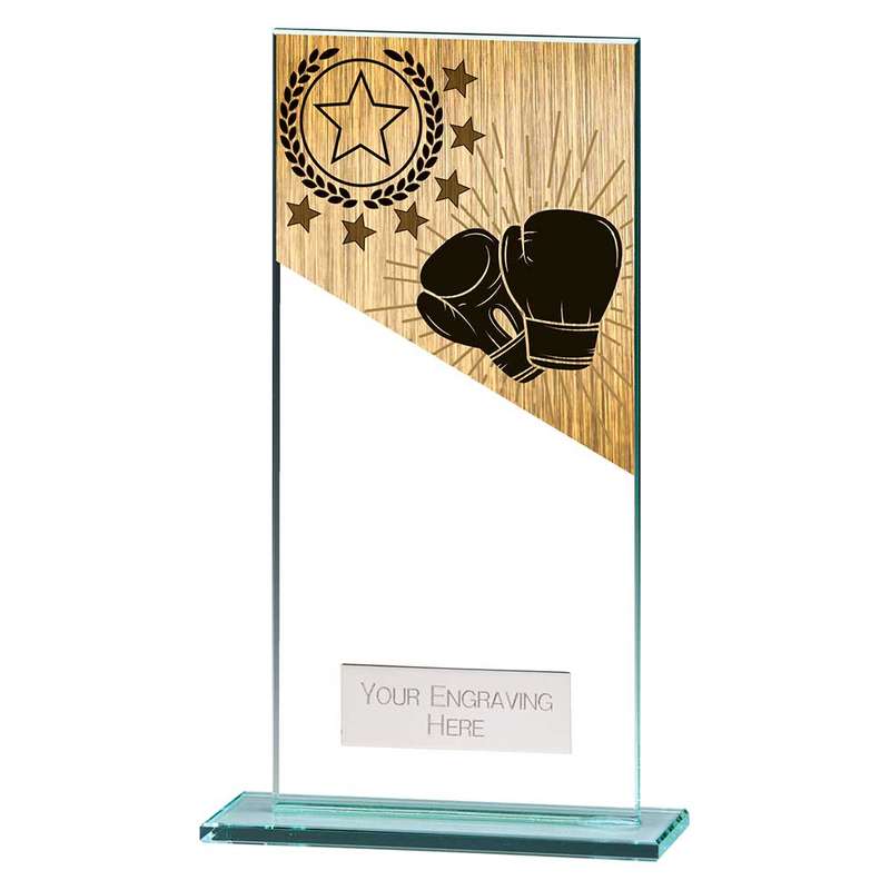 Mustang Boxing Jade Glass Award