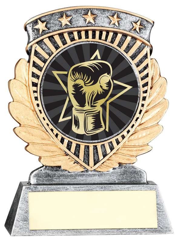 PEW/GOLD 5 STAR HOLDER WITH VINYL BOXING INSERT & PLATE – 3.75in