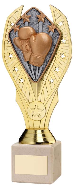 GOLD PLASTIC HOLDER + BOXING DISC ON CREAM MARBLE TROPHY (1in CEN) – 7.75in