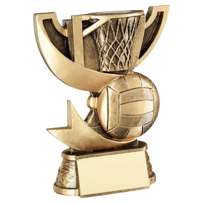 BRZ/GOLD CUP RANGE FOR NETBALL WITH PLATE – 5in