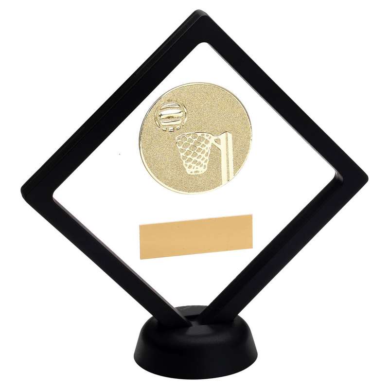BLACK/CLEAR PLASTIC BOX WITH NETBALL INSERT TROPHY GOLD – 6in