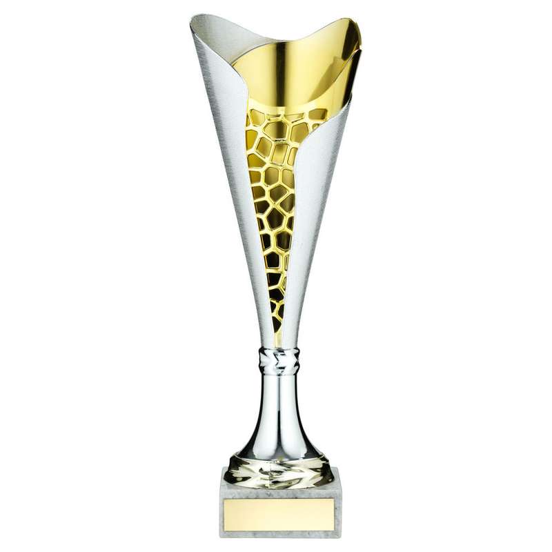 SILVER/GOLD PLASTIC STIPPLED TROPHY CUP WITH PLATE – 12.5in