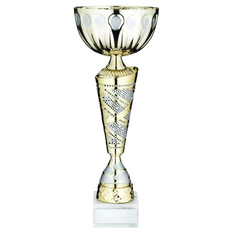 GOLD/MATT SILV TROPHY CUP WITH PLATE – 10in