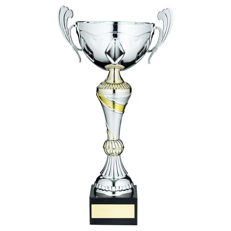 SILVER/GOLD TROPHY CUP WITH HANDLES AND PLATE – 11in
