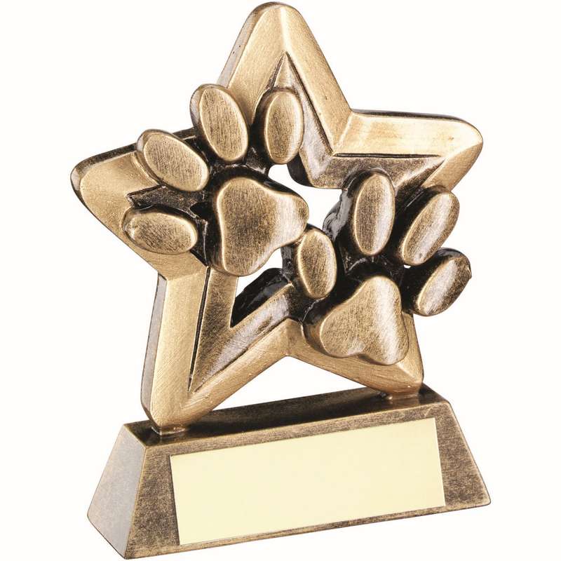 BRZ/GOLD DOG PAWS WITH PLATE MINI STAR WITH PLATE – 3.75in