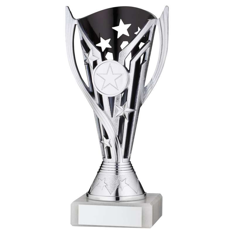 SILVER/BLACK PLASTIC FLASH CUP ASSEMBLED ON MARBLE (1in CEN) – 7in