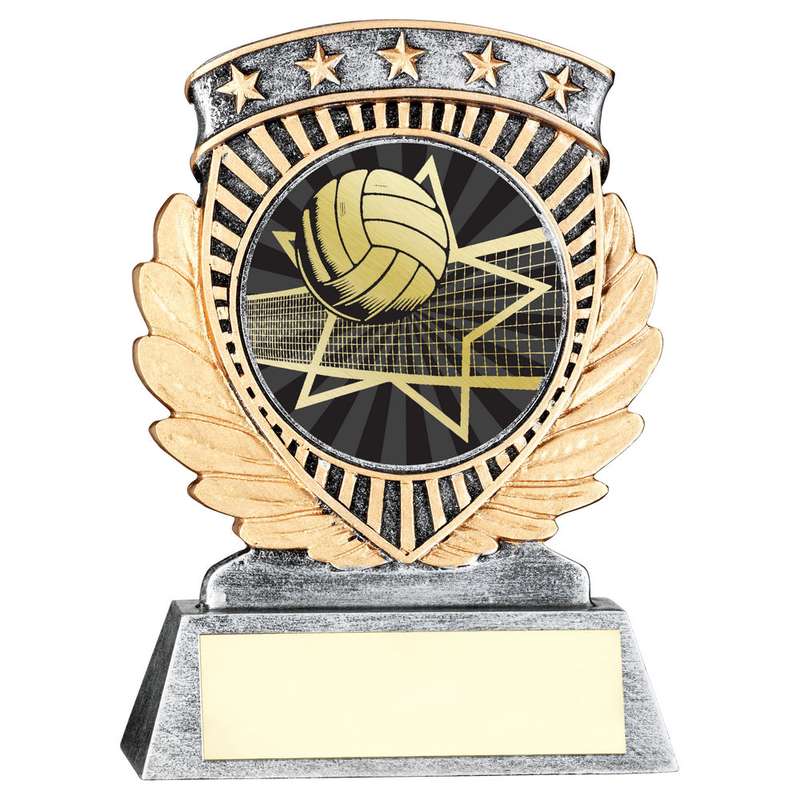 PEW/GOLD 5 STAR HOLDER WITH VINYL VOLLEYBALL INSERT & PLATE – 3.75in