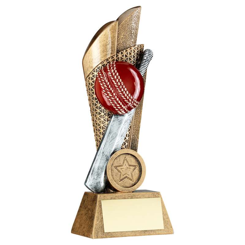 BRZ/PEW/GOLD CRICKET BALL AND BAT ON MESH BACKDROP WITH PLATE (1in CEN) – 5in