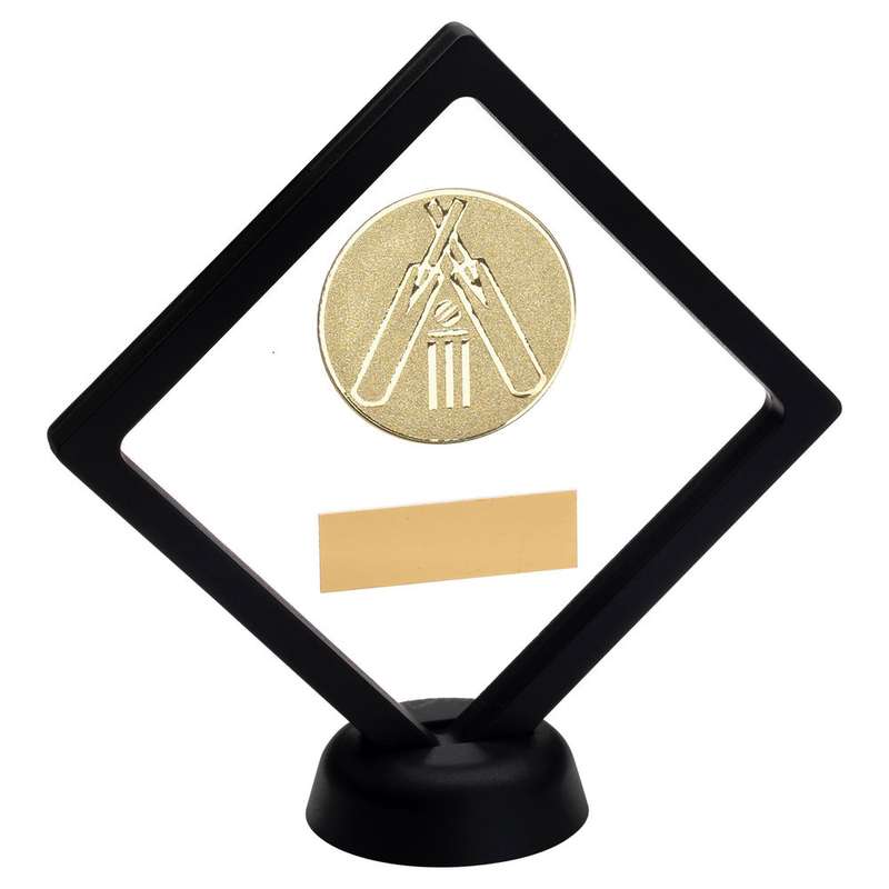 BLACK/CLEAR PLASTIC BOX WITH CRICKET INSERT TROPHY GOLD – 6in
