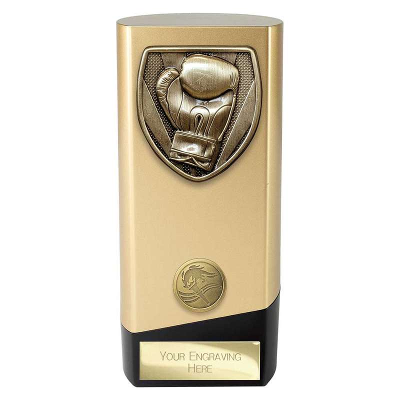 Prime Cobra Boxing Award