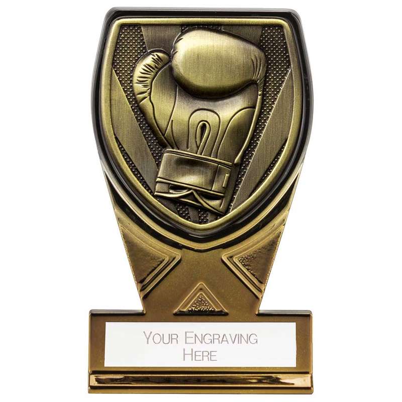 Fusion Cobra Boxing Award