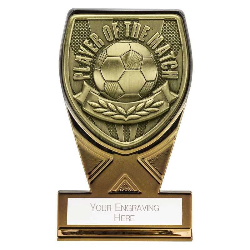 Fusion Cobra Player of Match Award