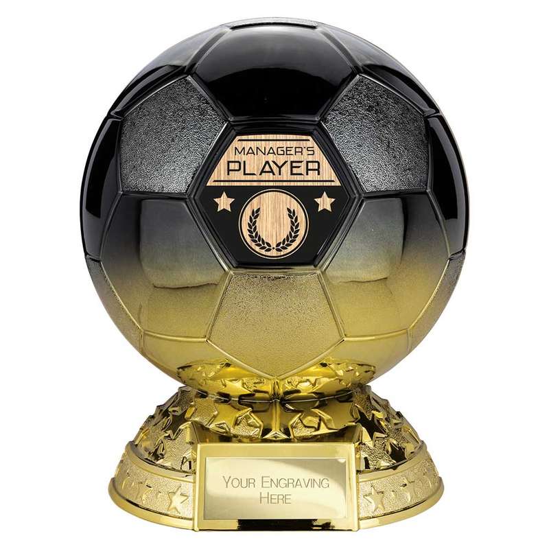 Elite Heavyweight Managers Player Award