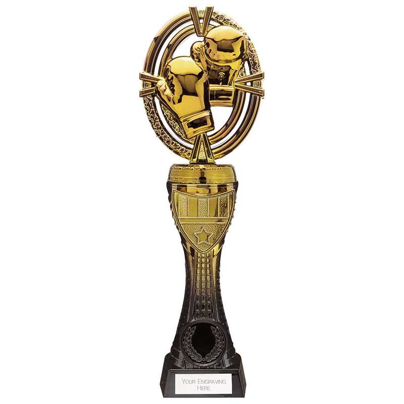 Maverick Heavyweight Boxing Award