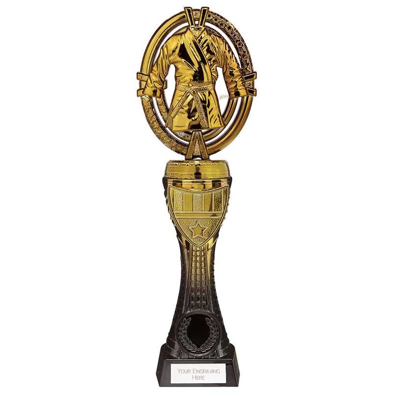 Maverick Heavyweight Martial Arts Award