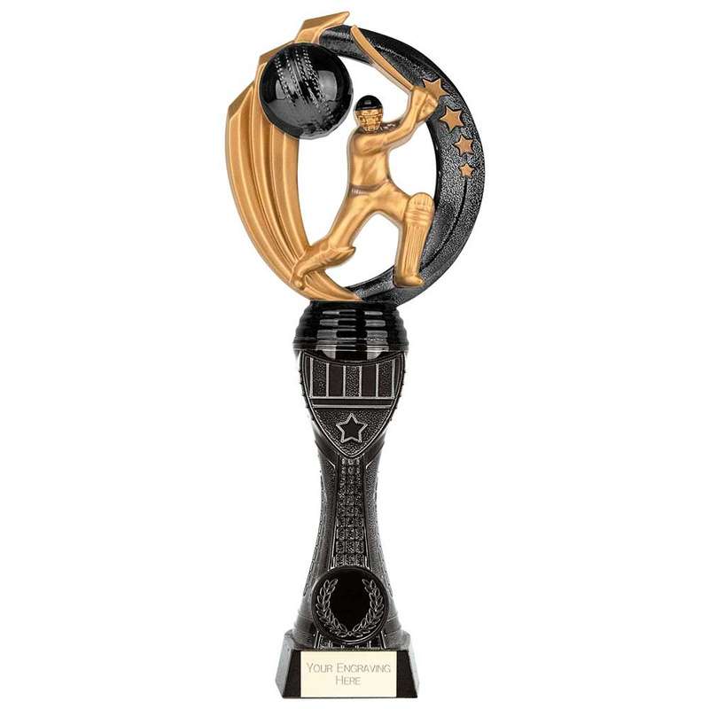 Renegade Heavyweight Cricket Award