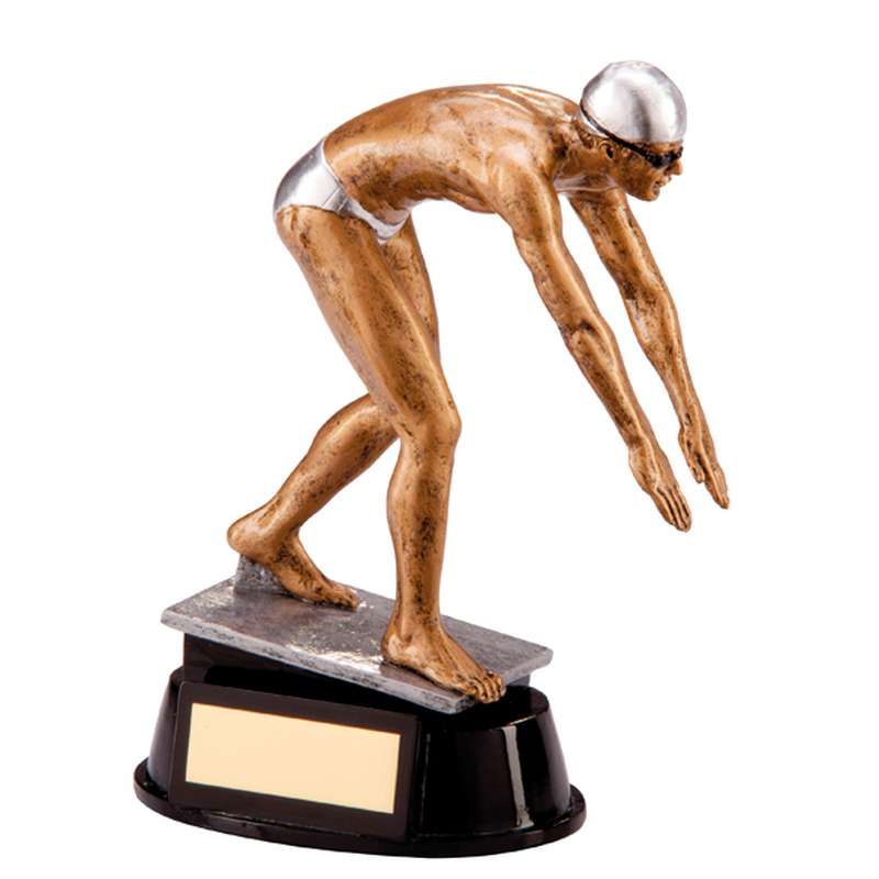 Motion Extreme Swimming Award