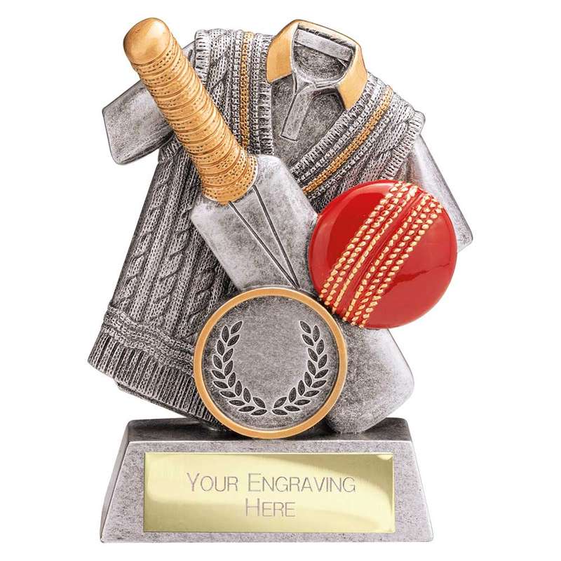 Spirit Cricket Resin Award