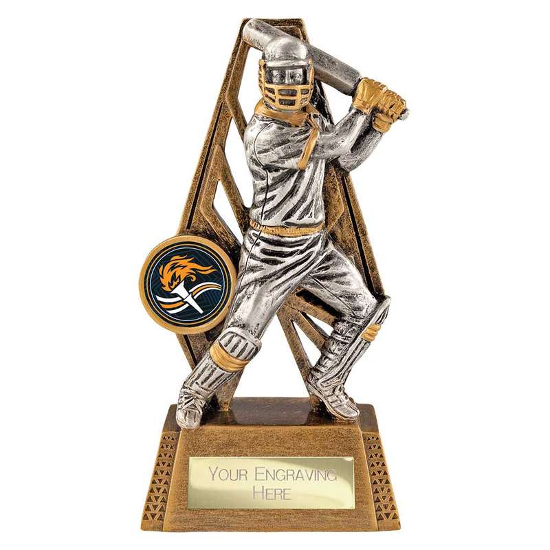 Immense Cricket Batsman Award
