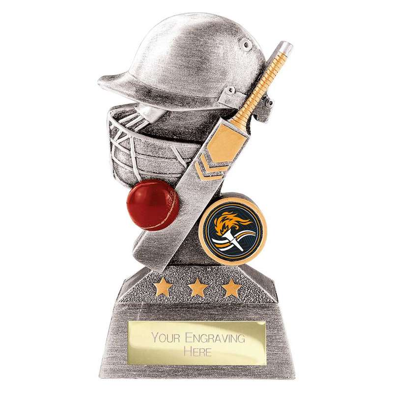 Smash Cricket Award